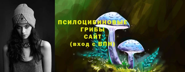 a pvp Михайловск