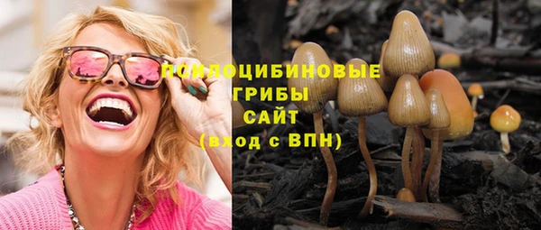 крисы Михайлов