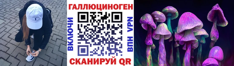 Псилоцибиновые грибы прущие грибы  Ковдор 