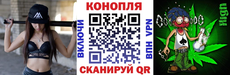 Бошки марихуана Bruce Banner  Ковдор 